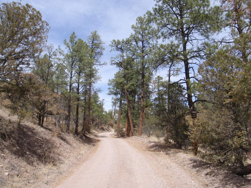 Pedaling northward and out of Diamond Creek Valley.